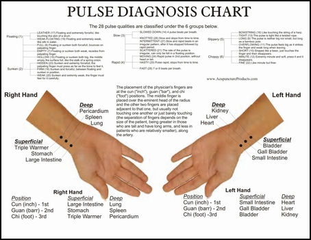 20080311-Accupuncture products pulse diagnosis22.jpg